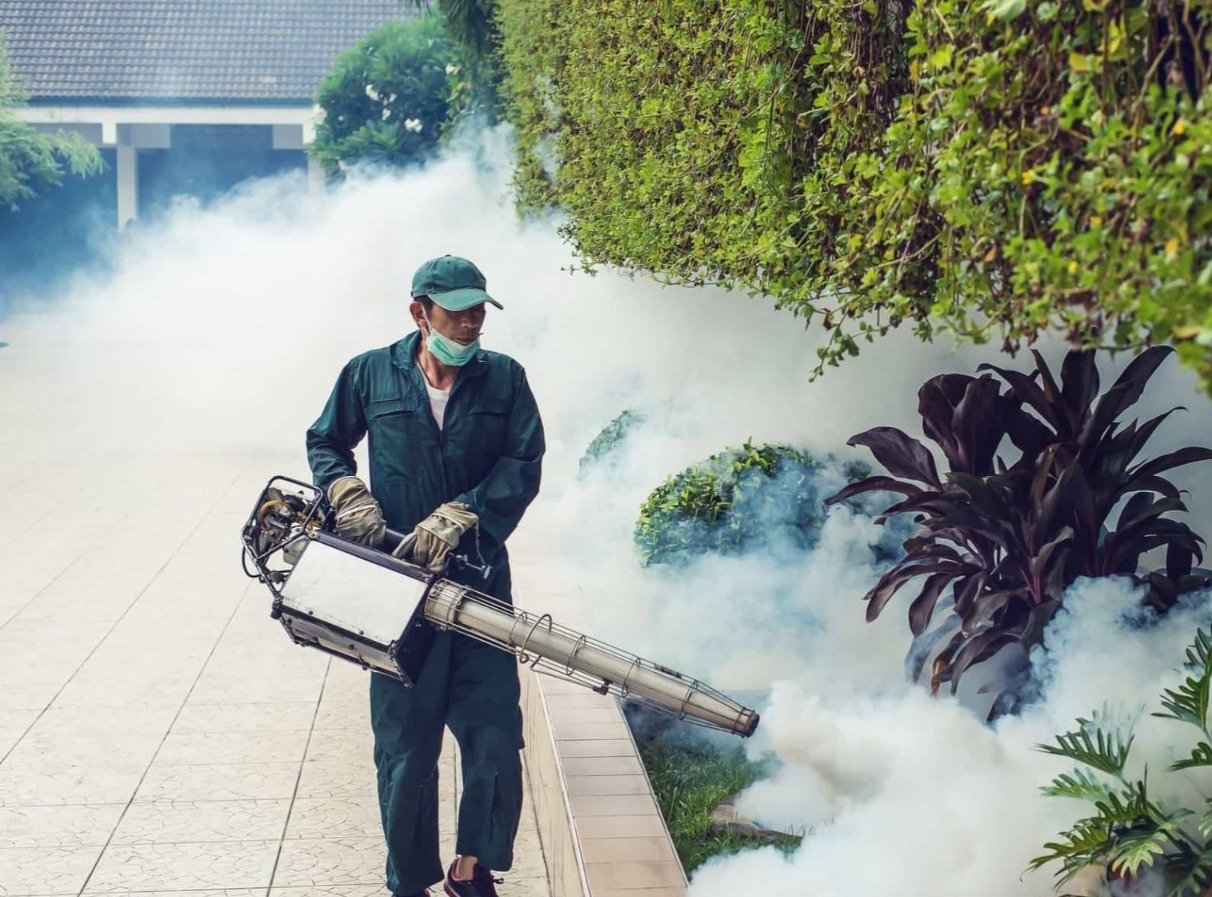 Mosquito Control Management Services